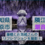 隣江山潮音寺で藤棚とお地蔵さんのリフレクションを撮影【愛知県田原市】